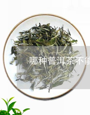 哪种普洱茶不能存茶袋子/2023121580602