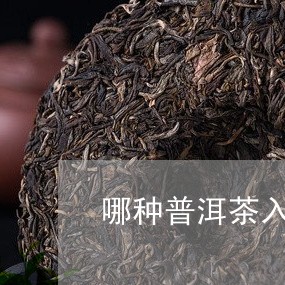 哪种普洱茶入口较苦/2023091560627