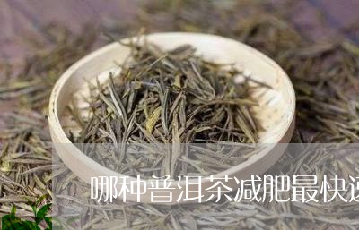 哪种普洱茶减肥最快速又好喝/2023110583737