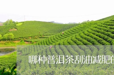 哪种普洱茶刮油减肥的/2023080225049