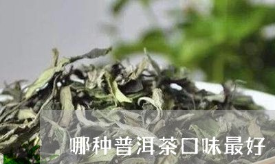 哪种普洱茶口味最好/2023091479305