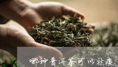 哪种普洱茶可以祛痰/2023070861694