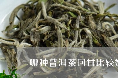 哪种普洱茶回甘比较好/2023062039473