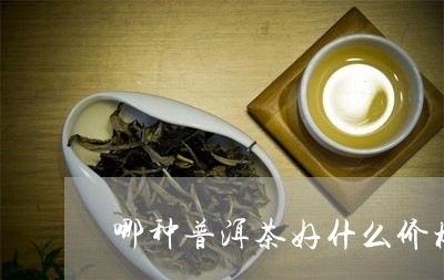 哪种普洱茶好什么价格/2023080227262