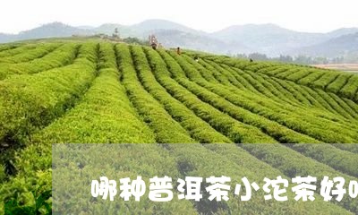 哪种普洱茶小沱茶好喝又好喝/2023121515057