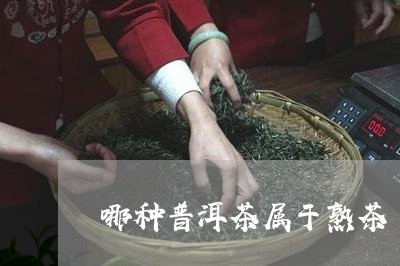 哪种普洱茶属于熟茶/2023070969493