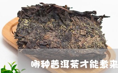 哪种普洱茶才能煮来喝/2023073148269