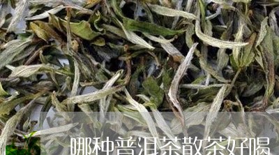 哪种普洱茶散茶好喝/2023091404937