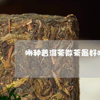 哪种普洱茶散茶最好喝最健康/2023052984258