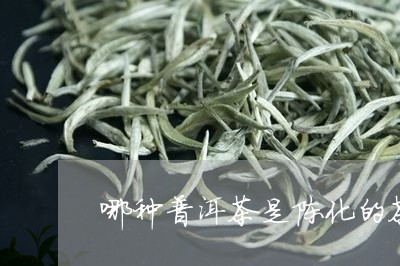 哪种普洱茶是陈化的茶/2023063071695