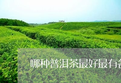 哪种普洱茶最好最有名/2023080398415