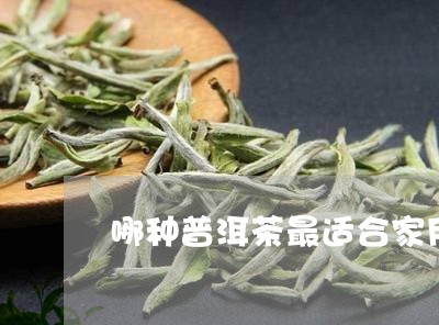 哪种普洱茶最适合家用/2023061643604