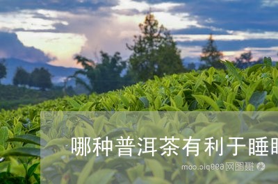 哪种普洱茶有利于睡眠/2023101706238