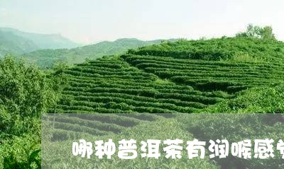 哪种普洱茶有润喉感觉的/2023082915169