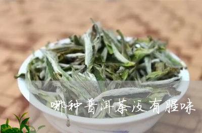 哪种普洱茶没有腥味/2023091337167