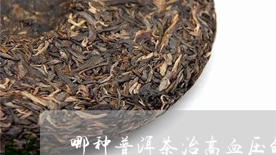 哪种普洱茶治高血压的好/2023112762504