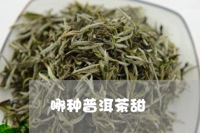 哪种普洱茶甜/2023042906703