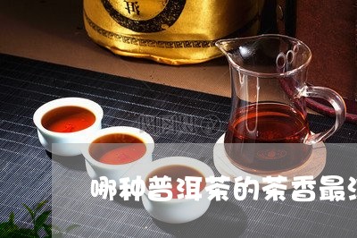 哪种普洱茶的茶香最浓/2023062316941