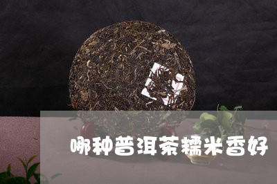 哪种普洱茶糯米香好/2023082949803