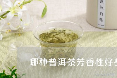 哪种普洱茶芳香性好些呢/2023103148472