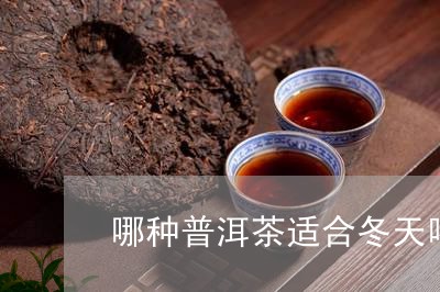 哪种普洱茶适合冬天喝/2023062428503