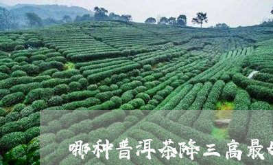 哪种普洱茶降三高最好/2023062911624