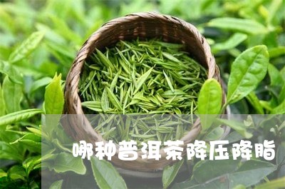 哪种普洱茶降压降脂/2023091543049