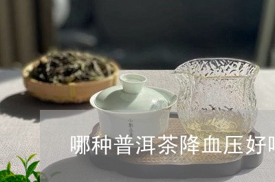 哪种普洱茶降血压好喝/2023062377180