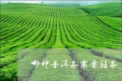 哪种普洱茶需要醒茶/2023070953836