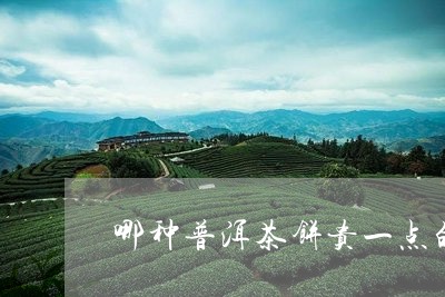 哪种普洱茶饼贵一点的/2023080762727