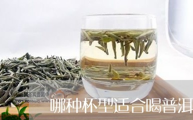 哪种杯型适合喝普洱茶/2023062326263