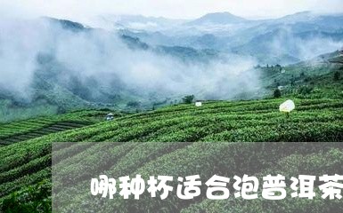 哪种杯适合泡普洱茶的人喝/2023112583624