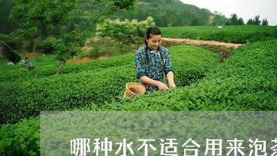 哪种水不适合用来泡茶/2023060806379