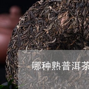 哪种熟普洱茶是最好的茶叶/2023112405158