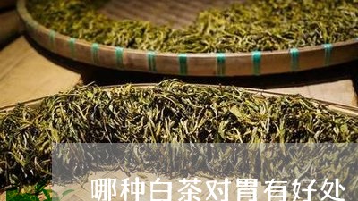 哪种白茶对胃有好处/2023071763927