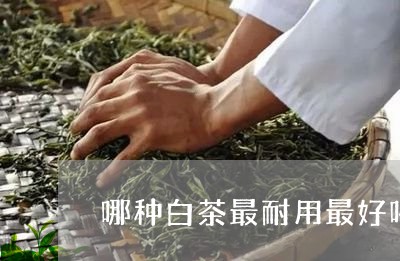 哪种白茶最耐用最好喝/2023092864049