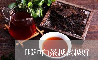 哪种白茶越老越好/2023061634838