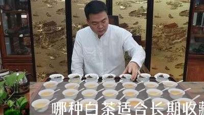 哪种白茶适合长期收藏/2023092849505