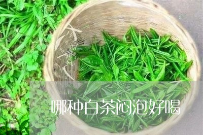 哪种白茶闷泡好喝/2023063040504