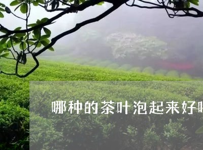 哪种的茶叶泡起来好喝/2023061028360