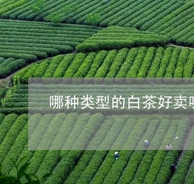 哪种类型的白茶好卖呢/2023092842604