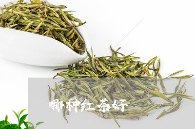 哪种红茶好/2023090223616