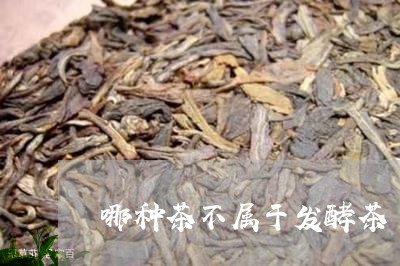 哪种茶不属于发酵茶/2023042057603