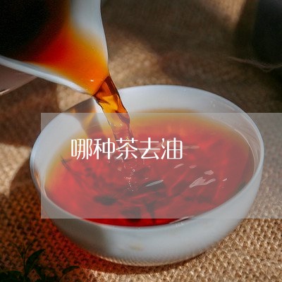 哪种茶去油/2023090227169