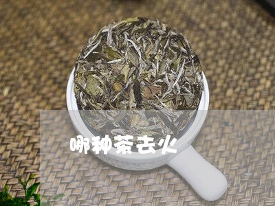 哪种茶去火/2023090235947