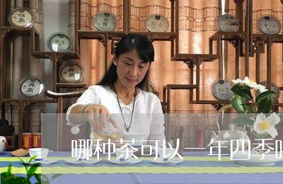 哪种茶可以一年四季喝/2023071683059