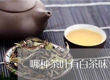 哪种茶叶有白茶味/2023061608364