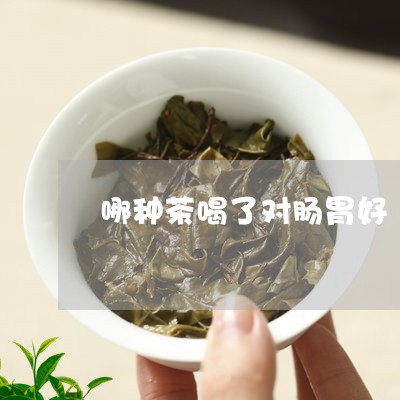 哪种茶喝了对肠胃好/2023042109571