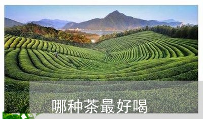 哪种茶最好喝/2023042967365