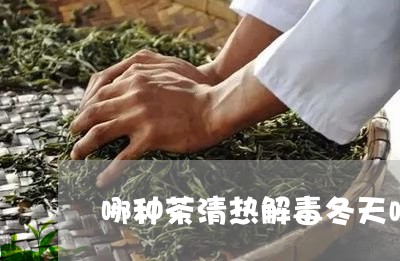 哪种茶清热解毒冬天喝/2023071456248